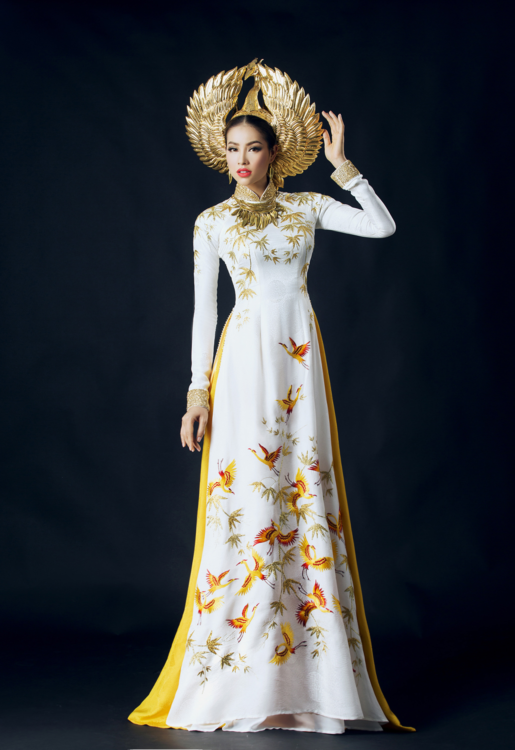 Customized aodai vietnam cloth - Ao Dai Vietnam Dress reseña y precio