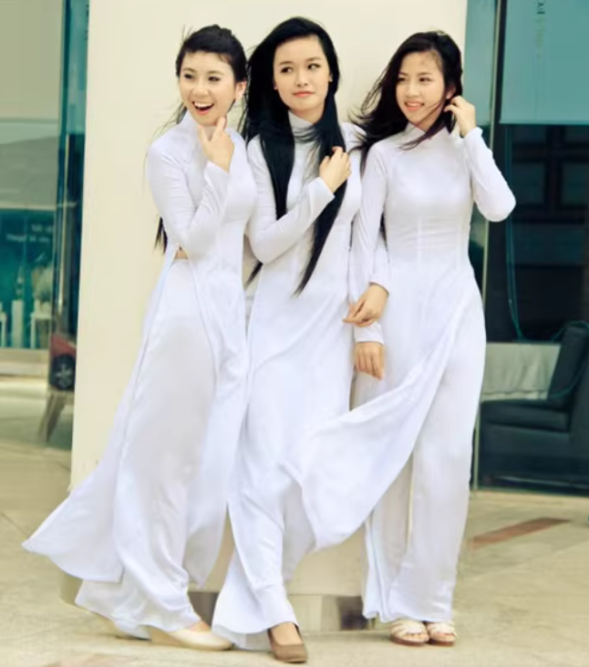 Vietnam Ao dai Woman Spring Dr - Ao Dai Vietnam Dress reseña y precio